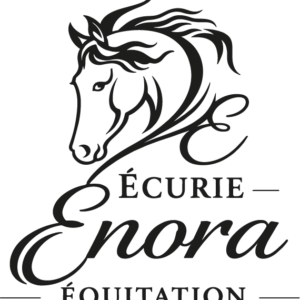 Ecurie enora equitation (57410)