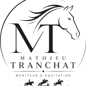 Mathieu Tranchat (84140)