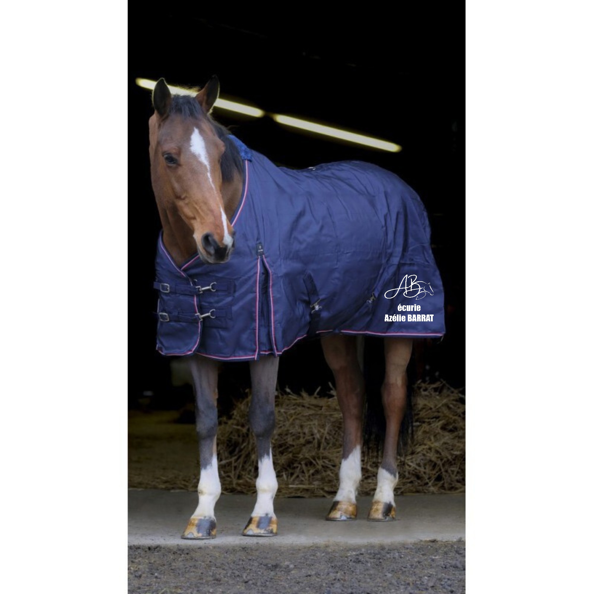 Couverture d'écurie EQUITHÈME - Sport Étude Val de Creuse - Navy - 40079