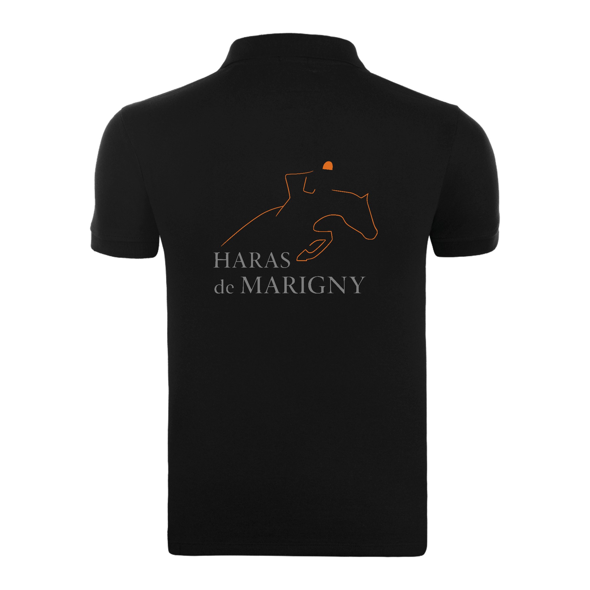 POLO (enfant) - haras de marigny50 - BCK424 – Image 5