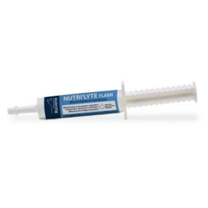 Seringue Ravene Nutri'lyte Flash : Électrolytes - 718030