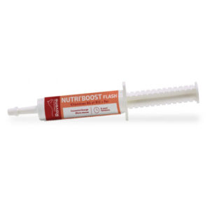 Seringue Ravene Nutri'Boost Flash : Soutien énergétique avant l’effort - 718058