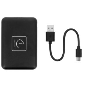 Batterie pour gilet chauffant - EQUITHÈME - 981002