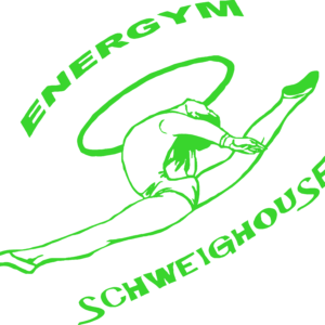Energym schweighouse (67590)